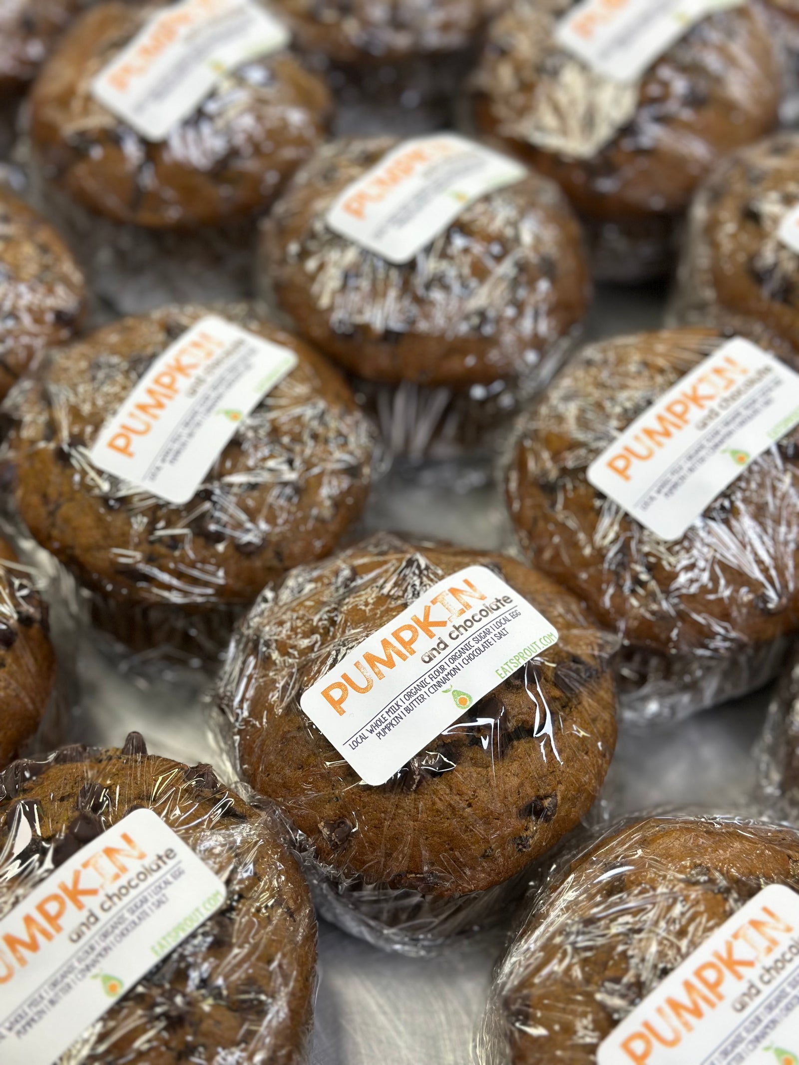 Muffin - Pumpkin Chocolate Chip