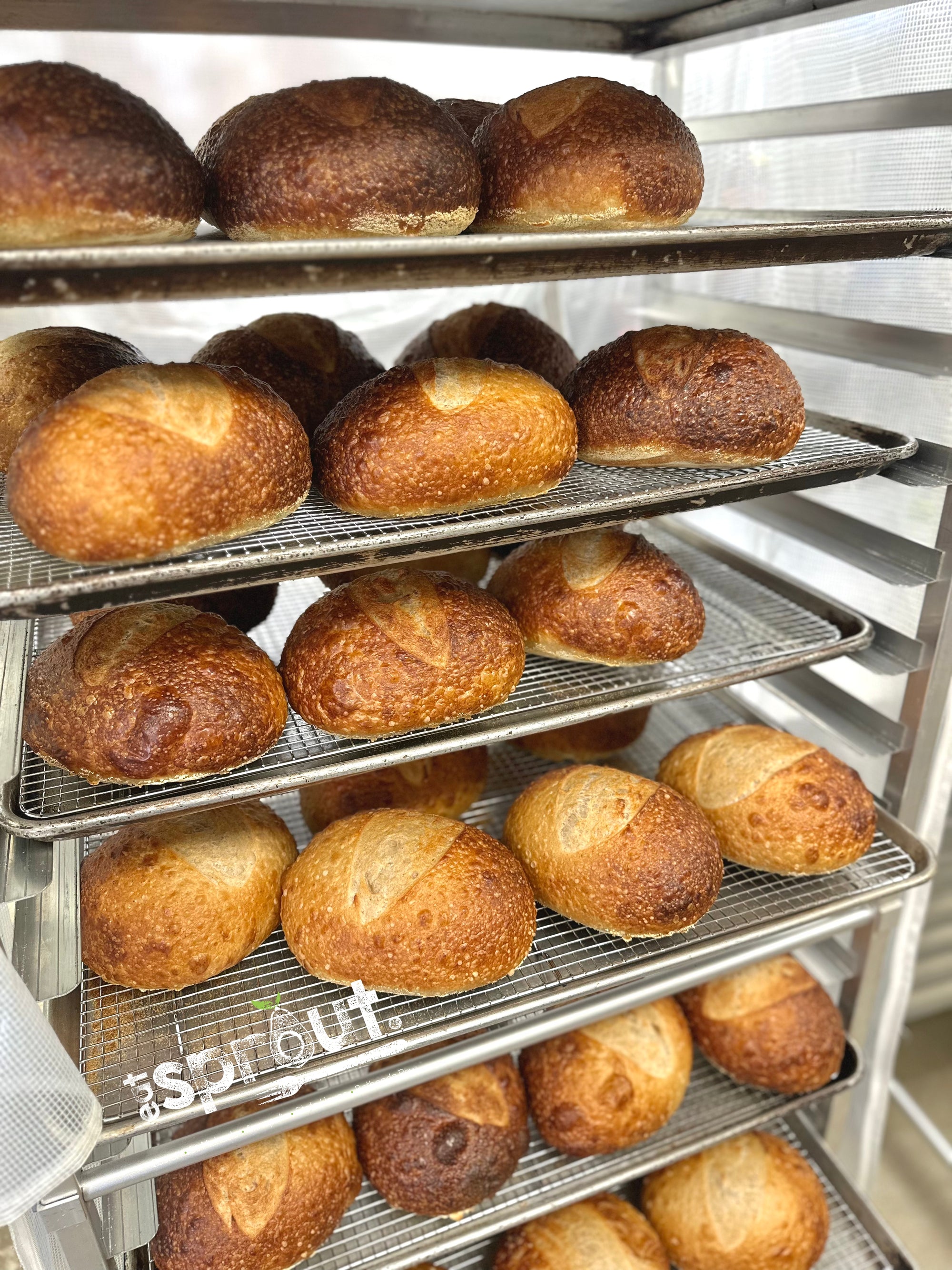 Sourdough (Vegan & DF)