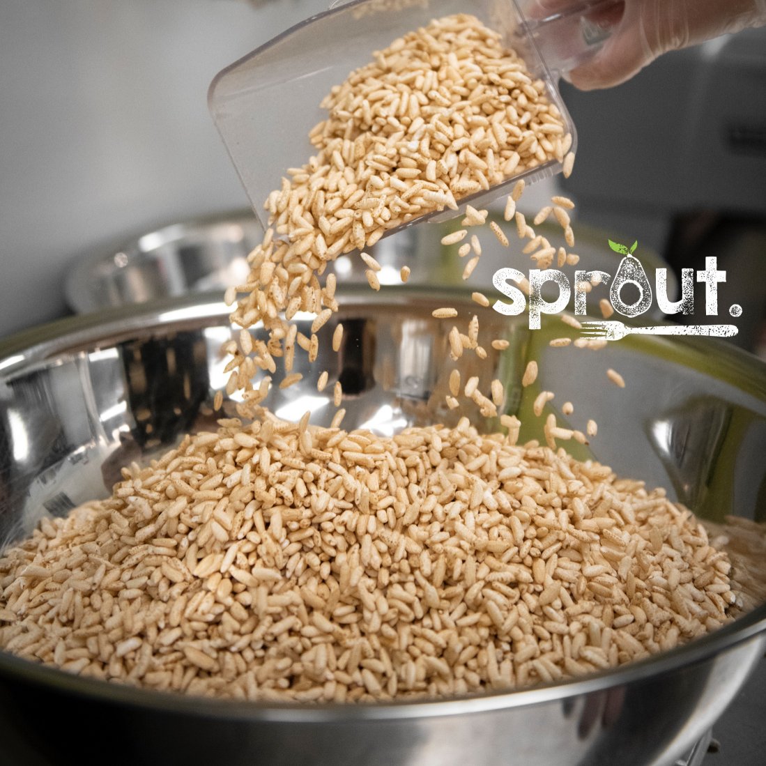 Oat Snack - Pumpkin (GF)