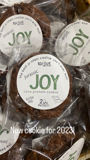 Jurassic Joy Protein Cookie
