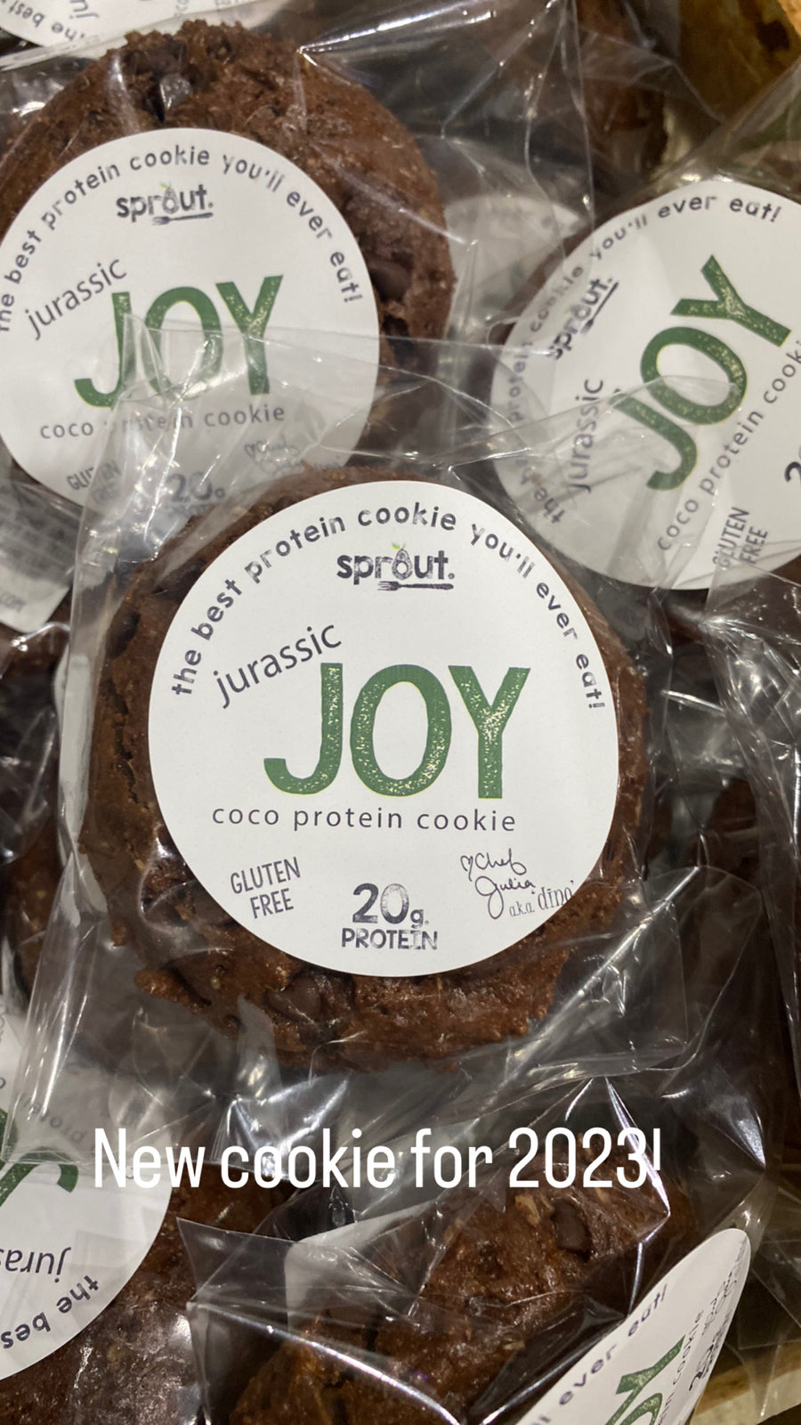 Jurassic Joy Protein Cookie