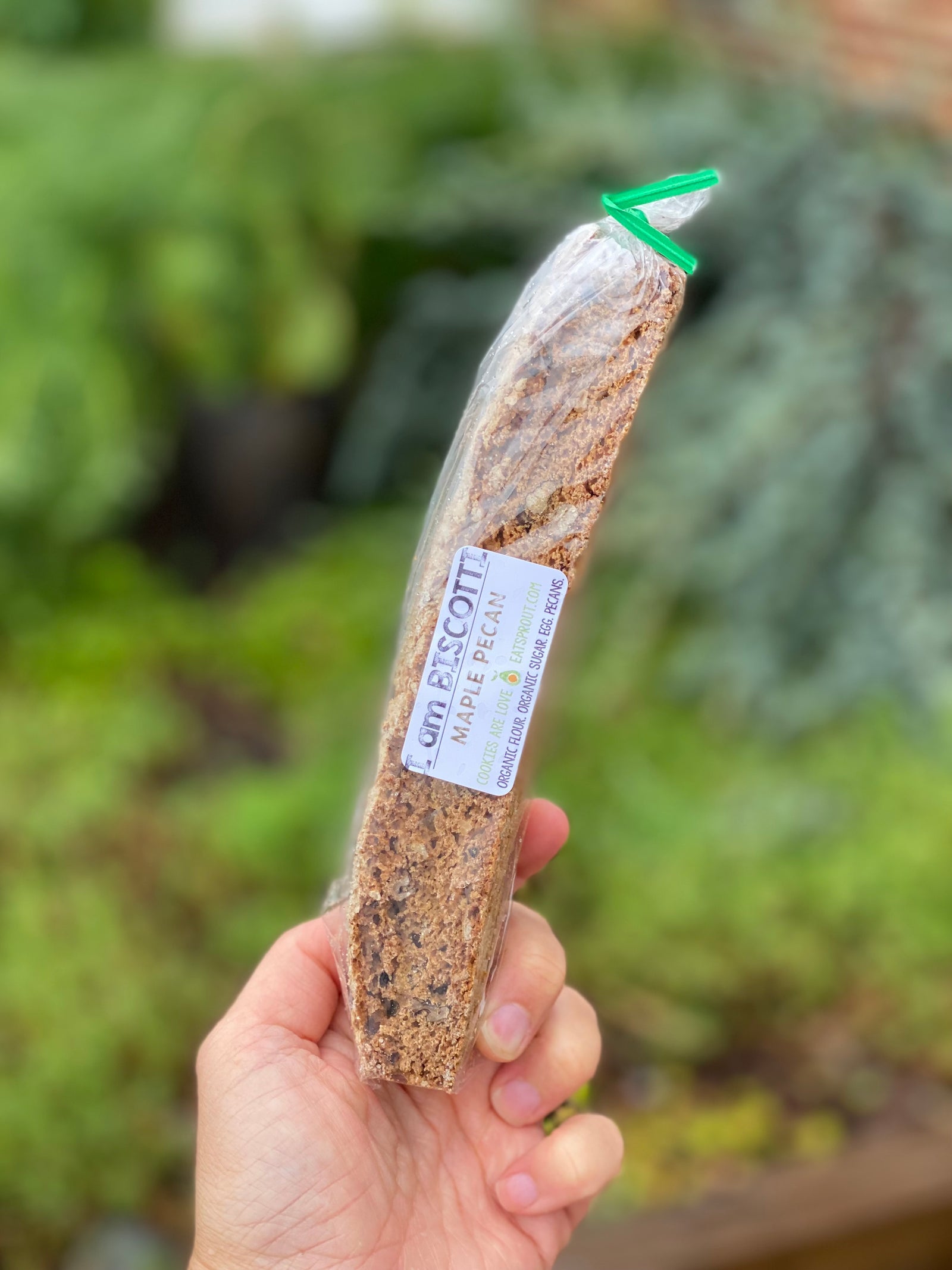 Biscotti - Maple Pecan