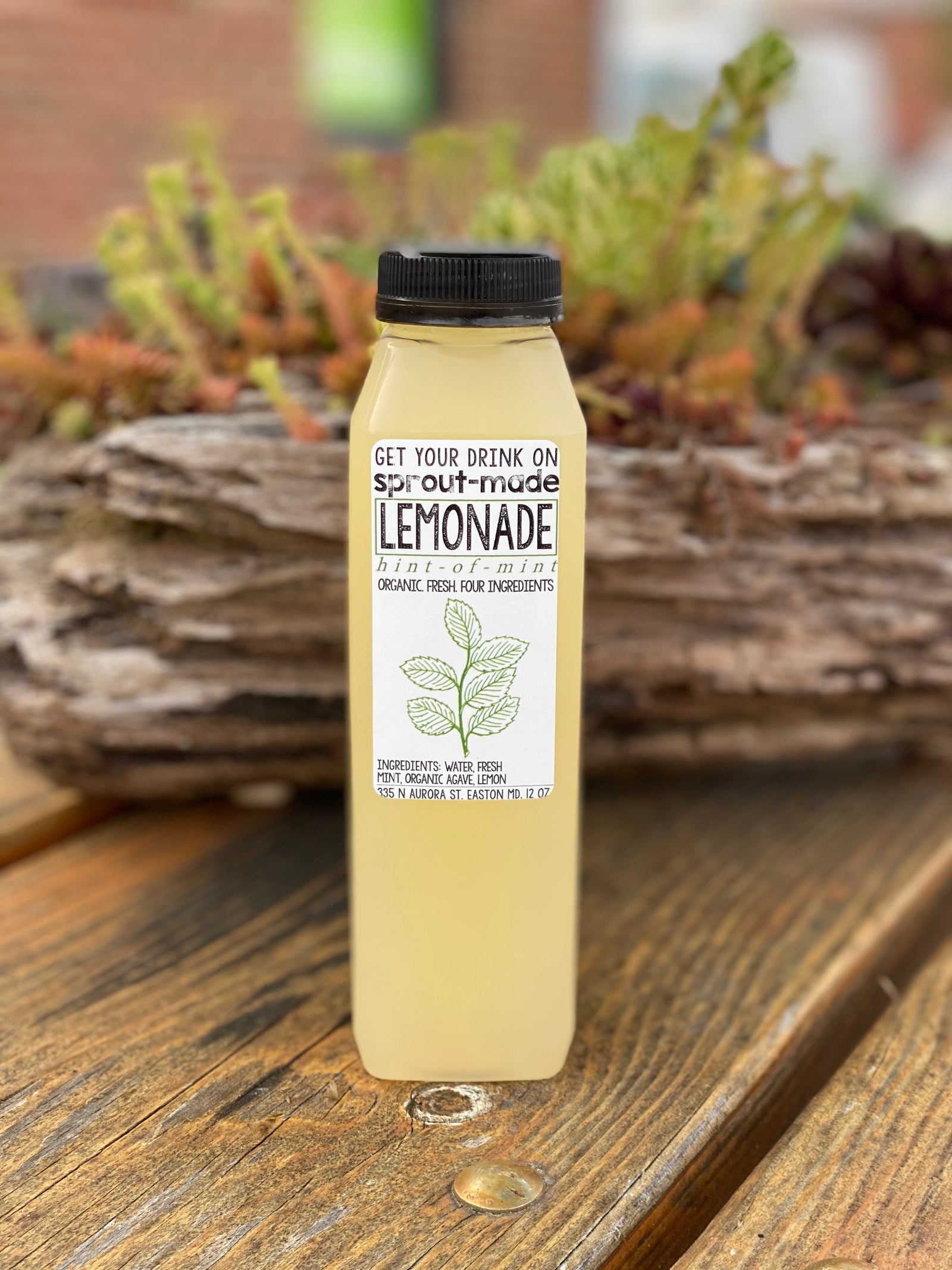 Lemonade - Mint (GF) (V)