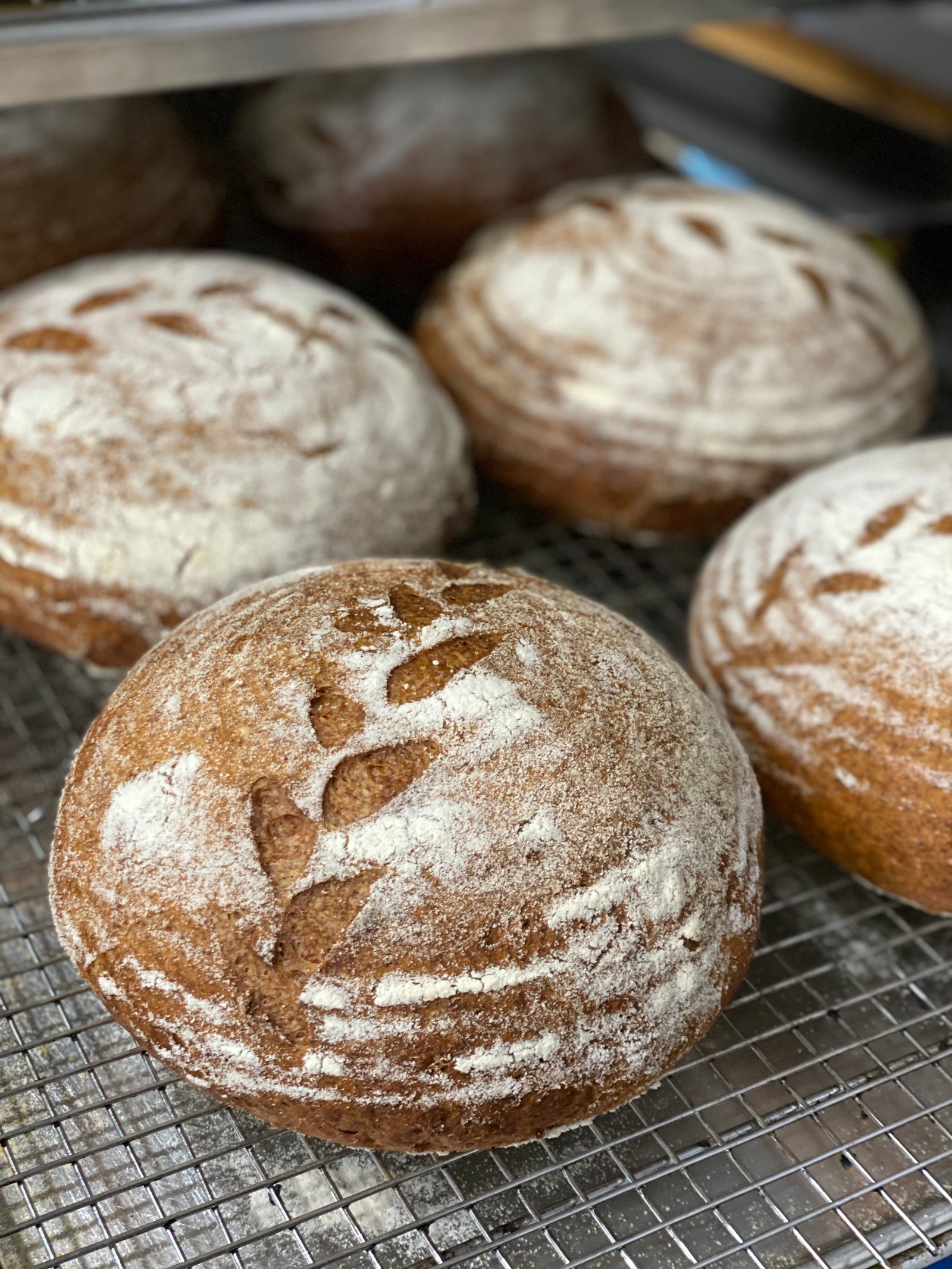 Gluten Free - Rustic Boule (V)