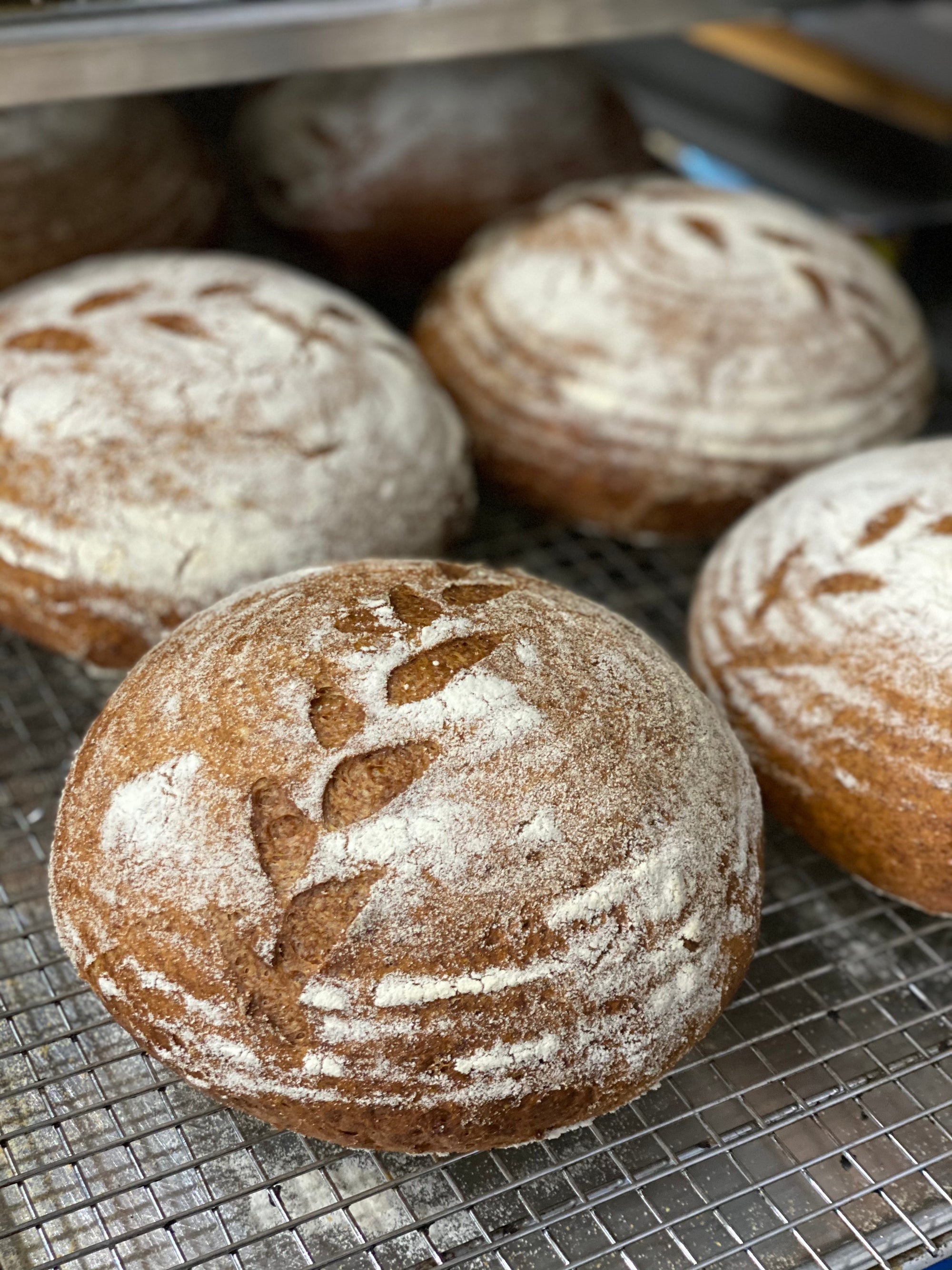 Gluten Free Rustic Loaf (GF, DF & Vegan)